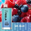 Buy Ene Feela 10000 Puffs Disposable Vape at vapekarlo